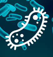 Parasiten und Schadstoffe
