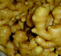 Ingwer (Zingiber officinale rosc)