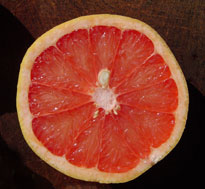 Pink Grapefruit